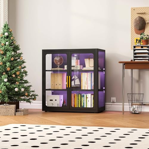 Lighting & Home Decor Studio - Display Cabinet with Glass Doors and