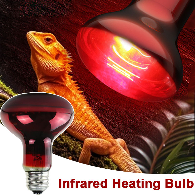 Reptile Heat Lamp 100V/220V In - Gecko Lighting & Decor 评论和价格