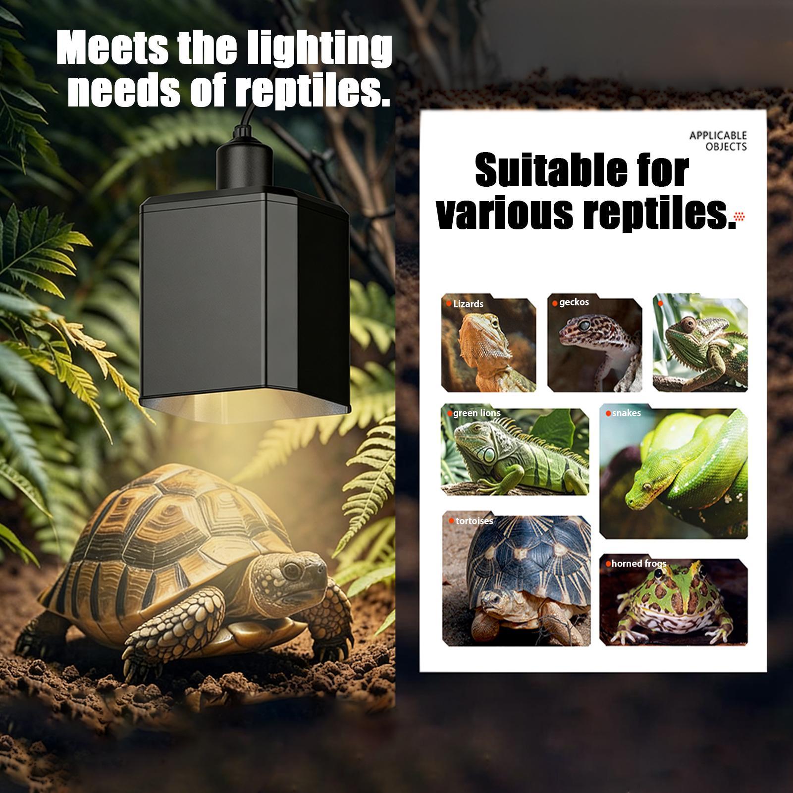 Reptile Heat Lamp Cover Reptil - Gecko Lighting & Decor 评论和价格
