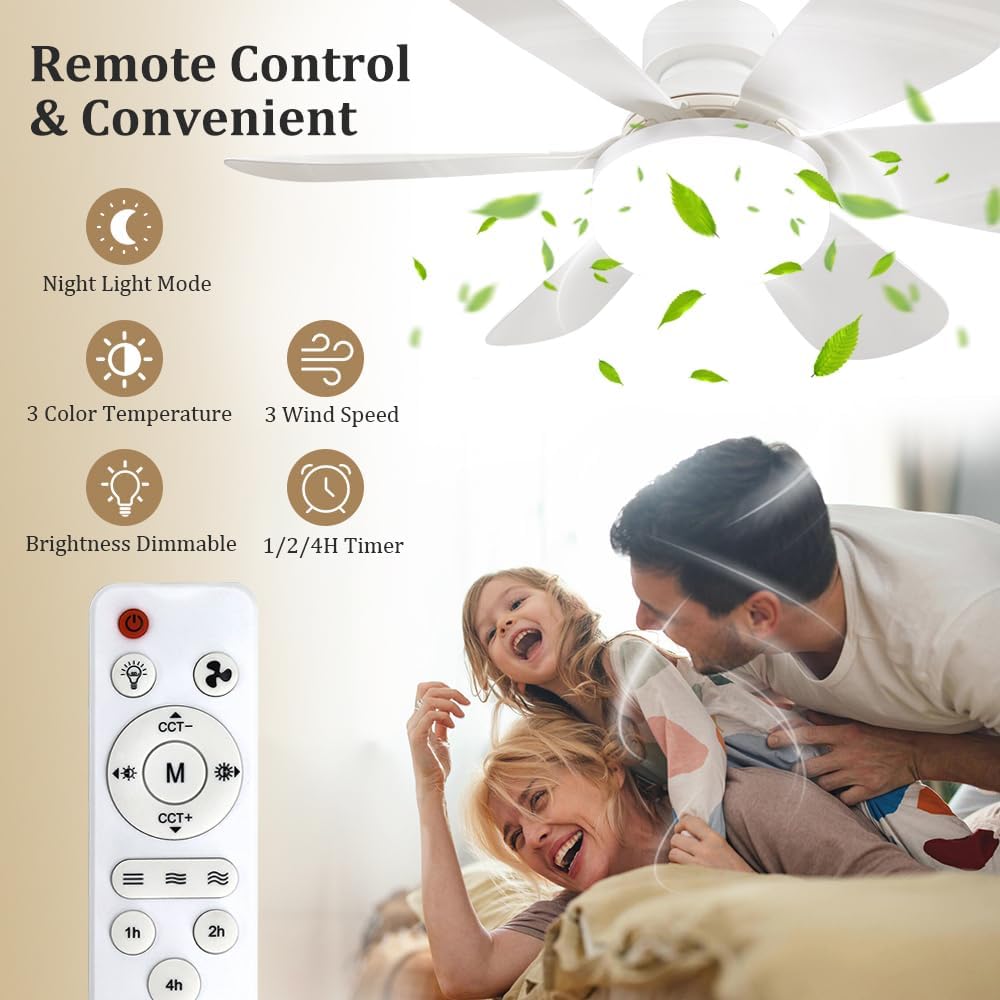 Socket Fan Light with Remote,  - Lighting Decor Home 评论和价格