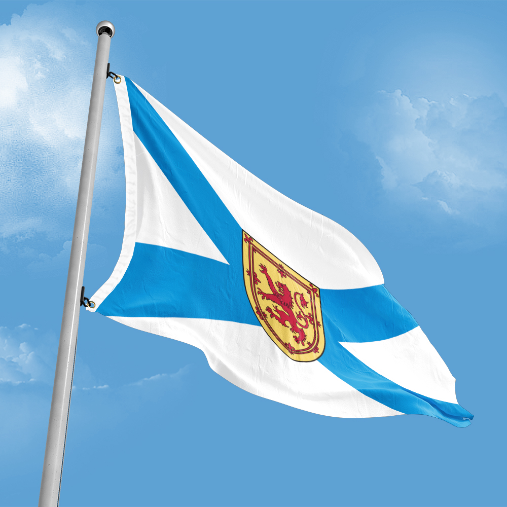 Canada Flag of Nova Scotia 3ft - Nova Decor & Lighting Vase Glass Brun 26Cm 评论和价格