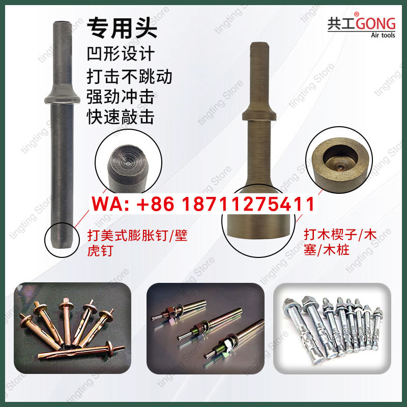 Gonggong gecko nail special ai - Gecko Lighting & Decor 评论和价格