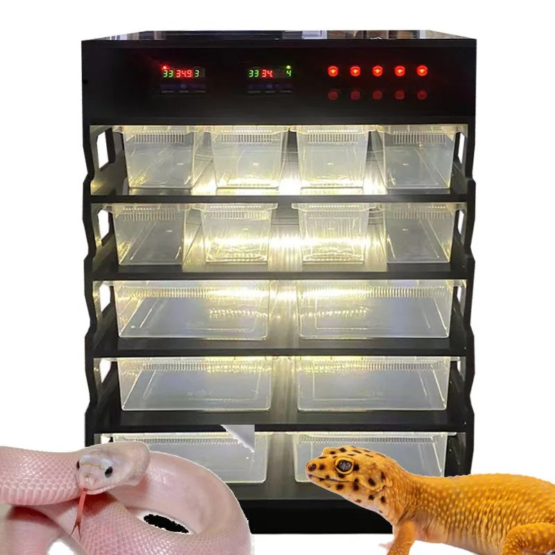 Intelligent PVC Reptile Furnit - Gecko Lighting & Decor 评论和价格