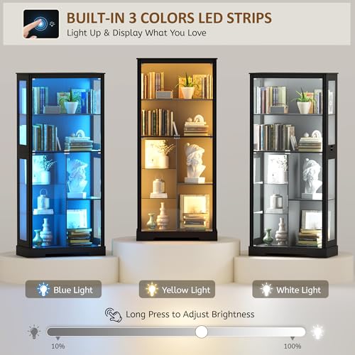71” Glass Display Cabinet with - Lighting & Home Decor Studio 评论和价格
