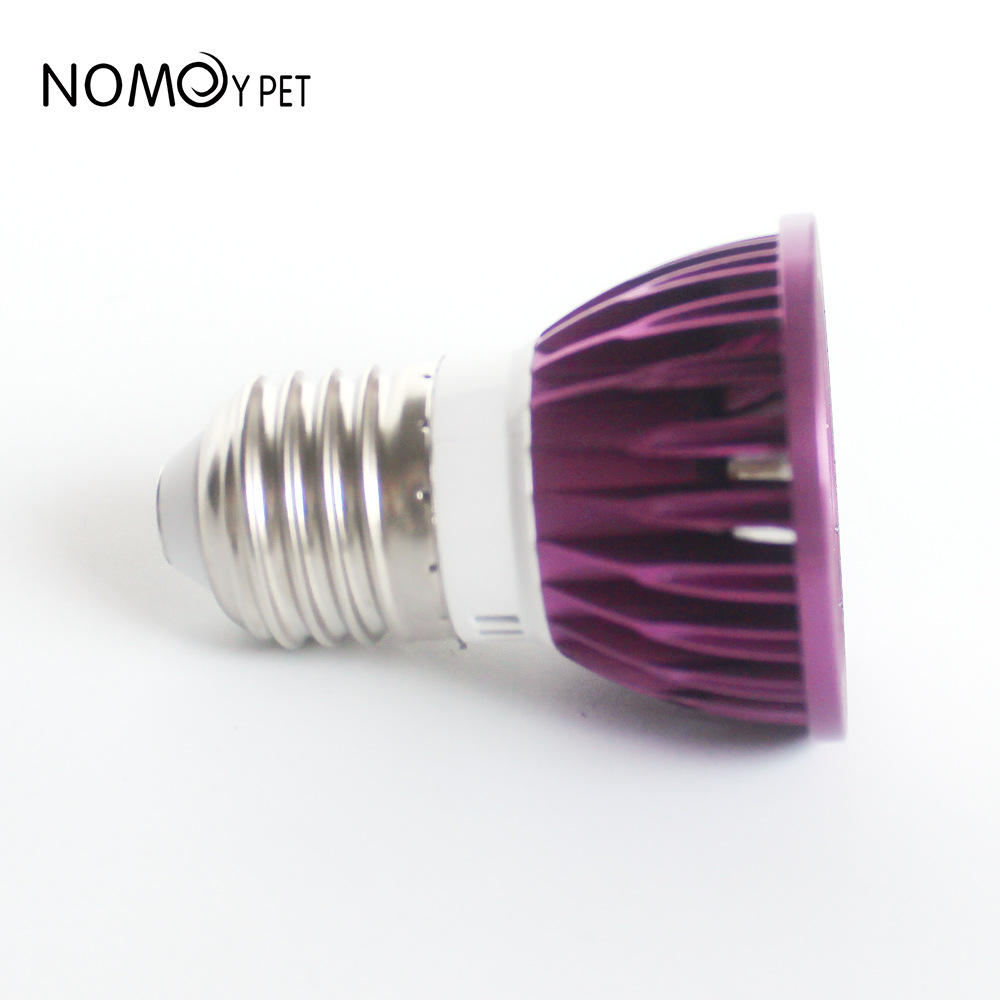 NOMOY Moonlight LED Night Ligh - Gecko Lighting & Decor 评论和价格