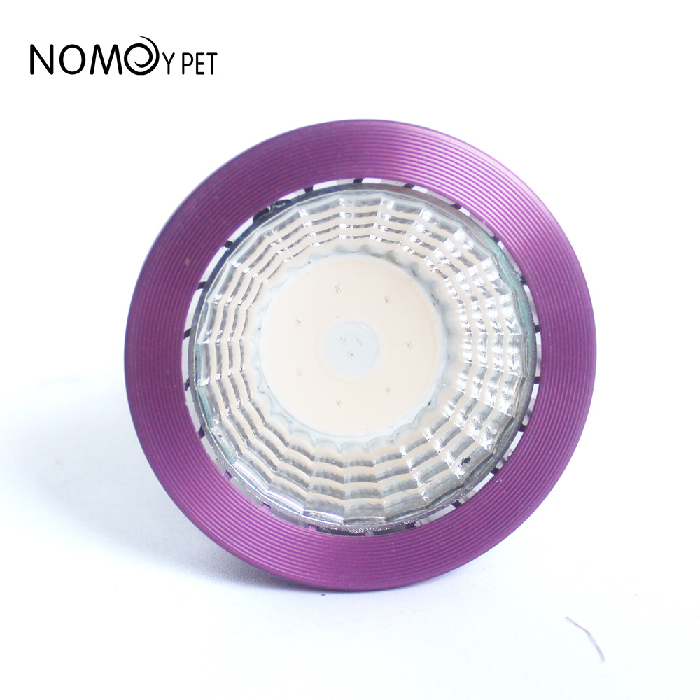 NOMOY Moonlight LED Night Ligh - Gecko Lighting & Decor 评论和价格